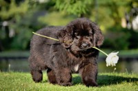 /album/fotogalerij1/marielle-1-jpg/